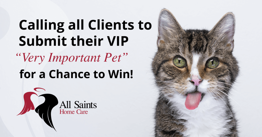 calling all clients to submit their VIP, Very Important Pet for a chance to win